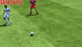 FIFA13ʮ˽ѧ()