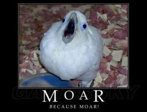 �����ǿ�