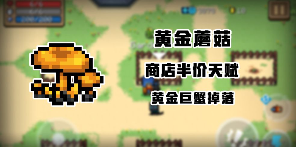 元气骑士2020年暑期版本更新了哪些内容_元气骑士2020年暑期版本更新内容一览