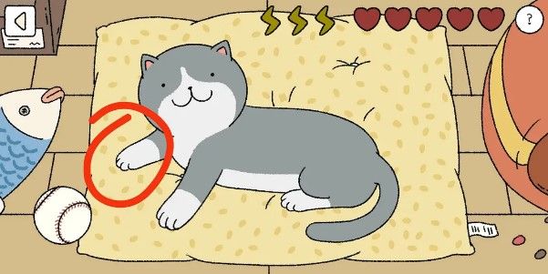 萌宅物语小猫摸哪里_萌宅物语小猫摸猫顺序攻略