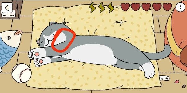 萌宅物语小猫摸哪里_萌宅物语小猫摸猫顺序攻略