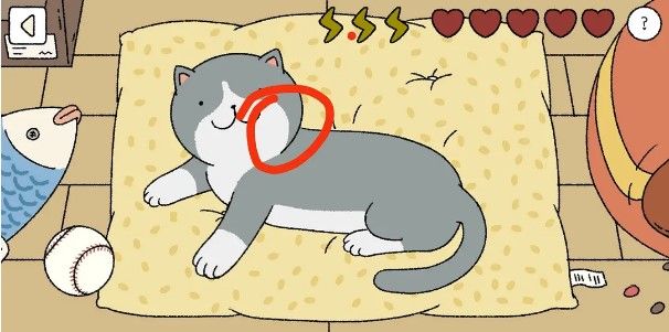 萌宅物语小猫摸哪里_萌宅物语小猫摸猫顺序攻略