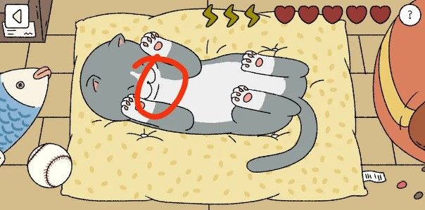 萌宅物语小猫摸哪里_萌宅物语小猫摸猫顺序攻略