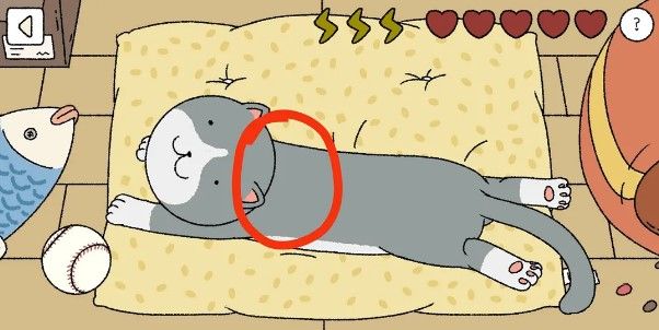 萌宅物语小猫摸哪里_萌宅物语小猫摸猫顺序攻略