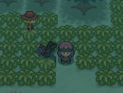 pokemmo合众刷钱攻略_pokemmo合众如何刷钱