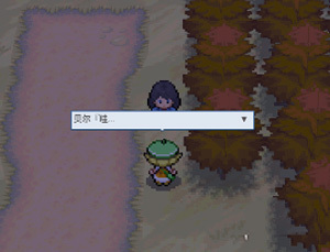 pokemmo合众一周目图文流程_pokemmo合众一周目怎么过