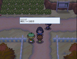 pokemmo合众一周目图文流程_pokemmo合众一周目怎么过