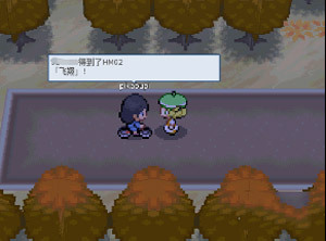 pokemmo合众一周目图文流程_pokemmo合众一周目怎么过