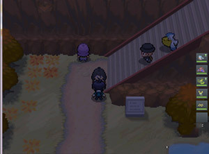 pokemmo合众一周目图文流程_pokemmo合众一周目怎么过