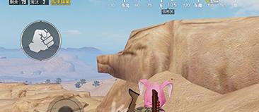 与平精英网红打卡地在什么地方里_与平精英网红猪地图位置介绍