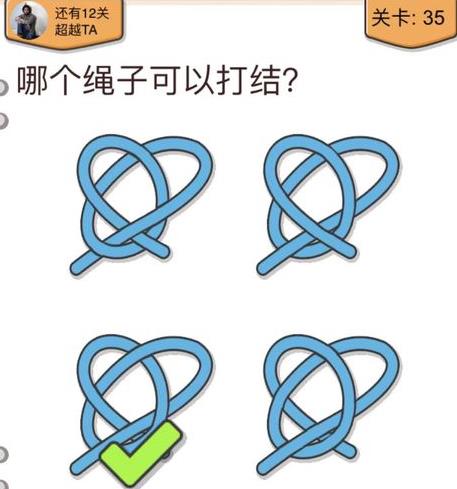 我不是猪头第35关如何做_我不是猪头第35题攻略