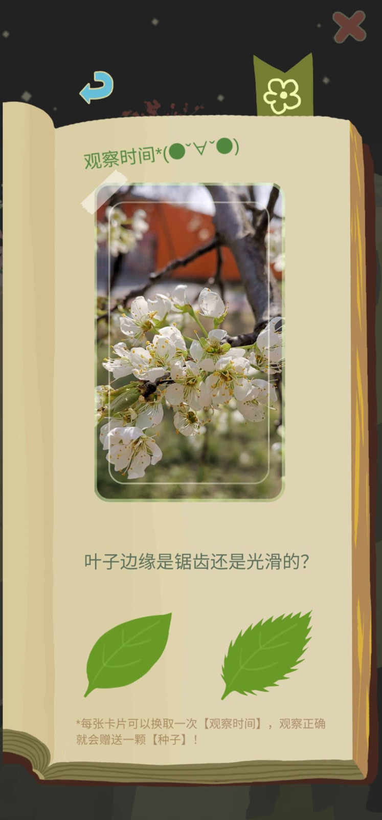 老农种树新手基础攻略_老农种树新手基础如何玩