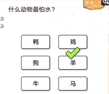 我不是猪头第7关如何做_我不是猪头第7题攻略