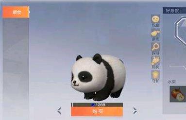 风云岛行动宠物好感度如何提升_风云岛行动提升宠物好感度方法