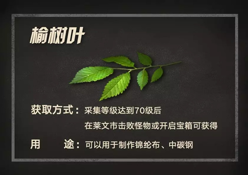 明日之后榆树叶如何得_明日之后榆树叶取得攻略