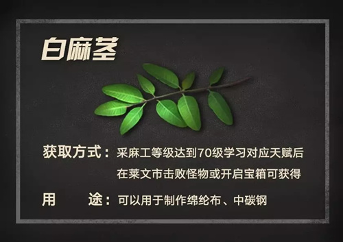 明日之后白麻茎如何得_明日之后白麻茎取得攻略