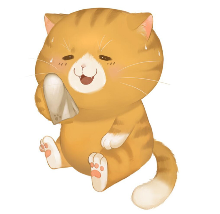 灵猫传橘猫玩法攻略_灵猫传橘猫如何玩