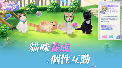 喵与筑快速升级攻略_喵与筑手游怎么快速升级